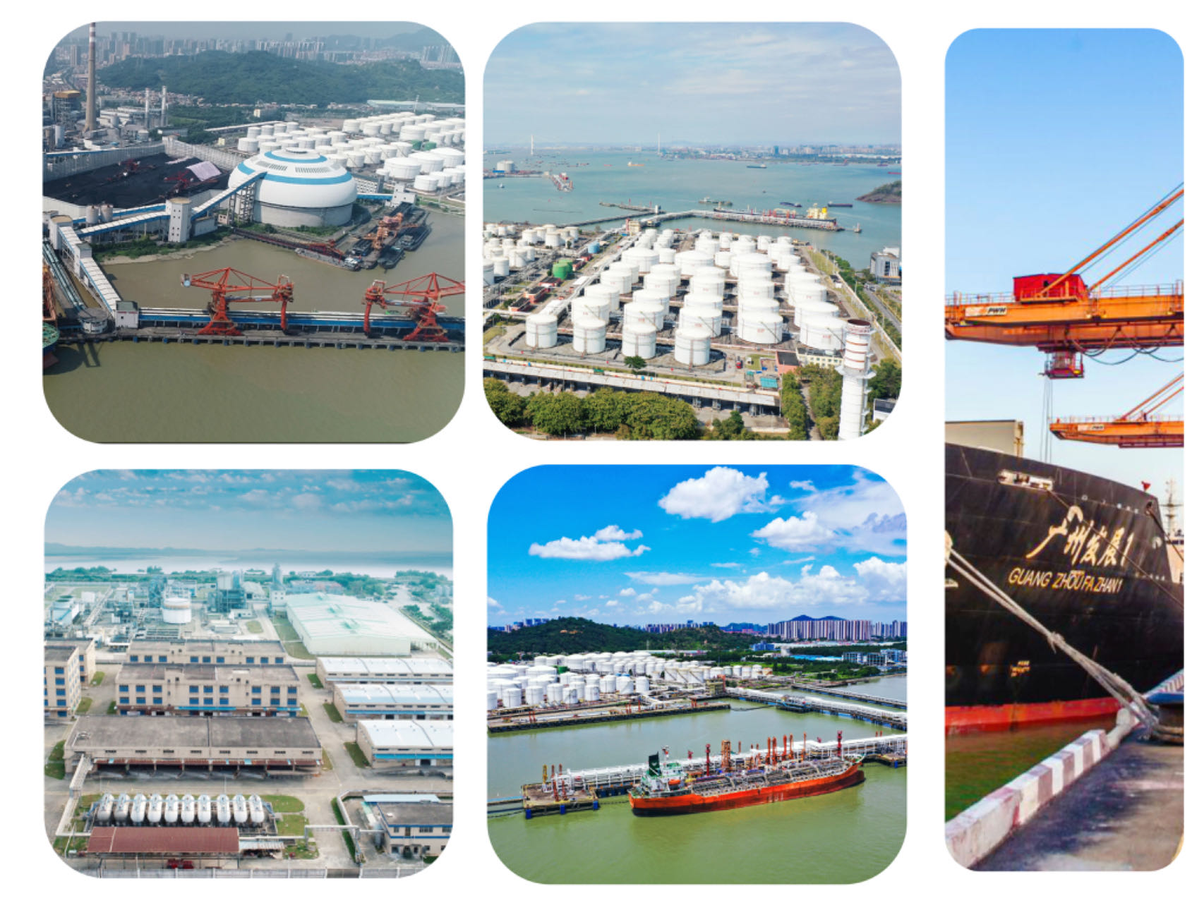 完美体育在线登录