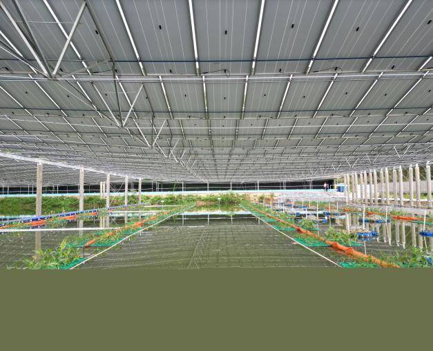 完美体育在线登录