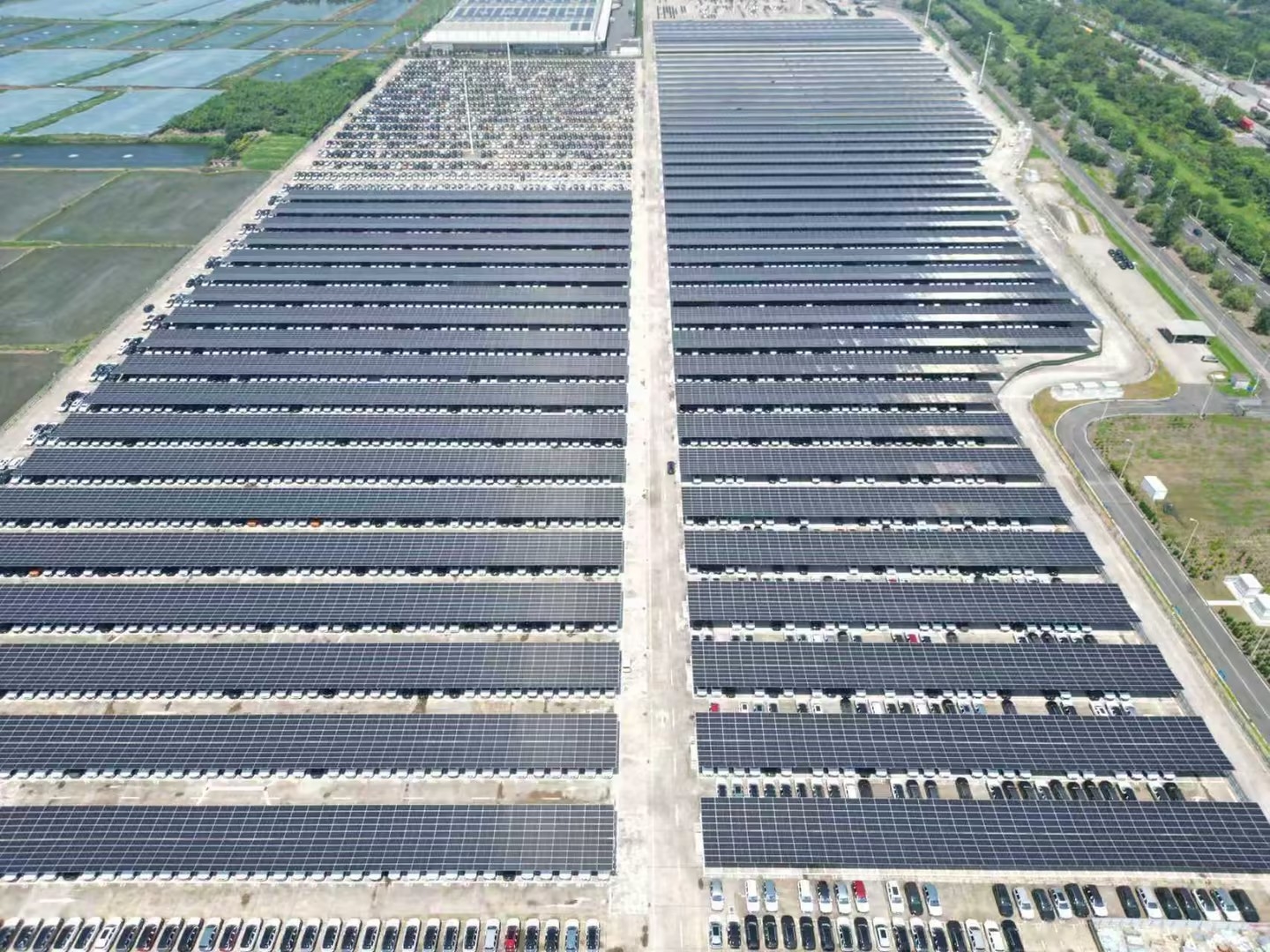 完美体育在线登录