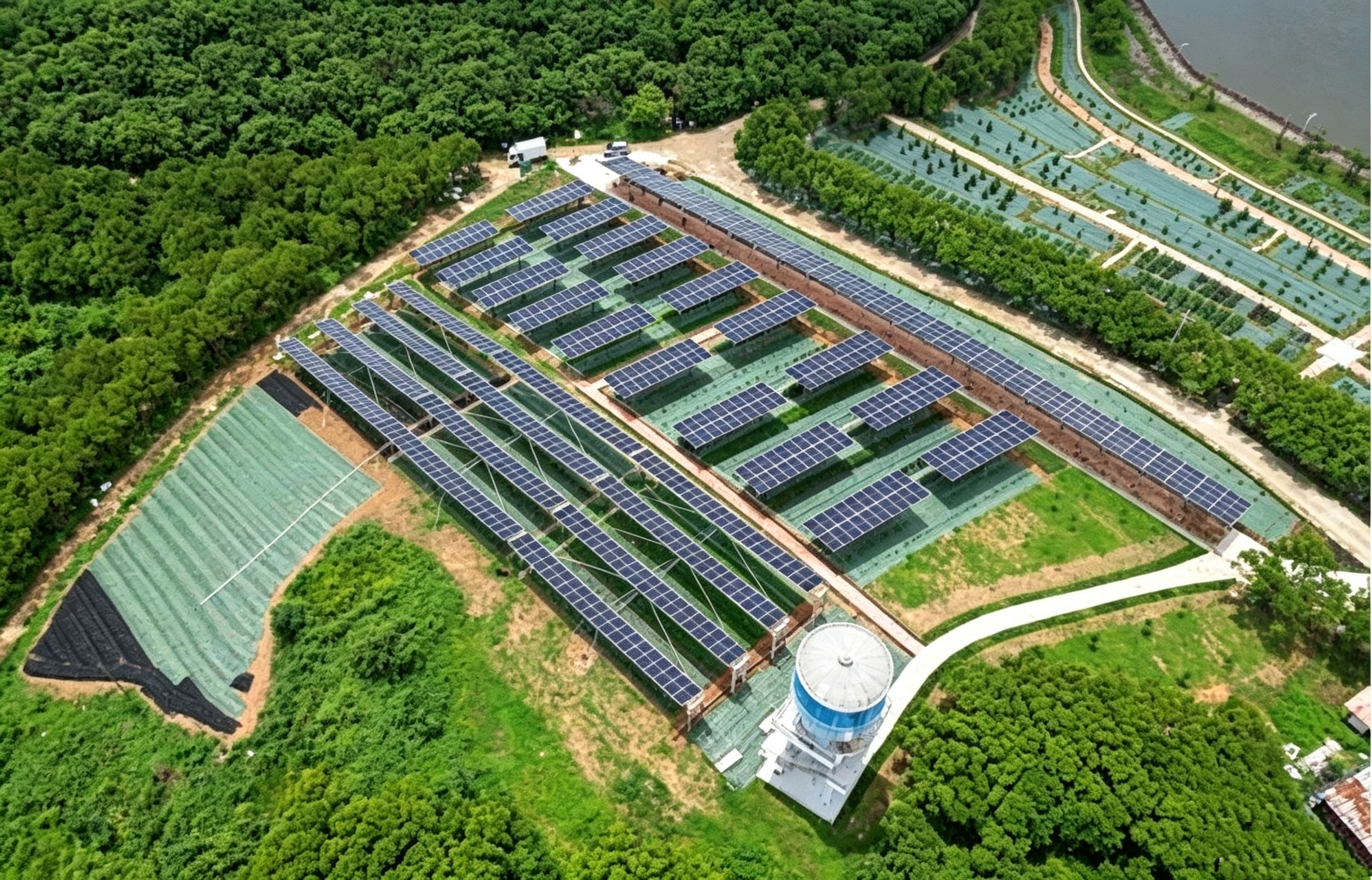 完美体育在线登录