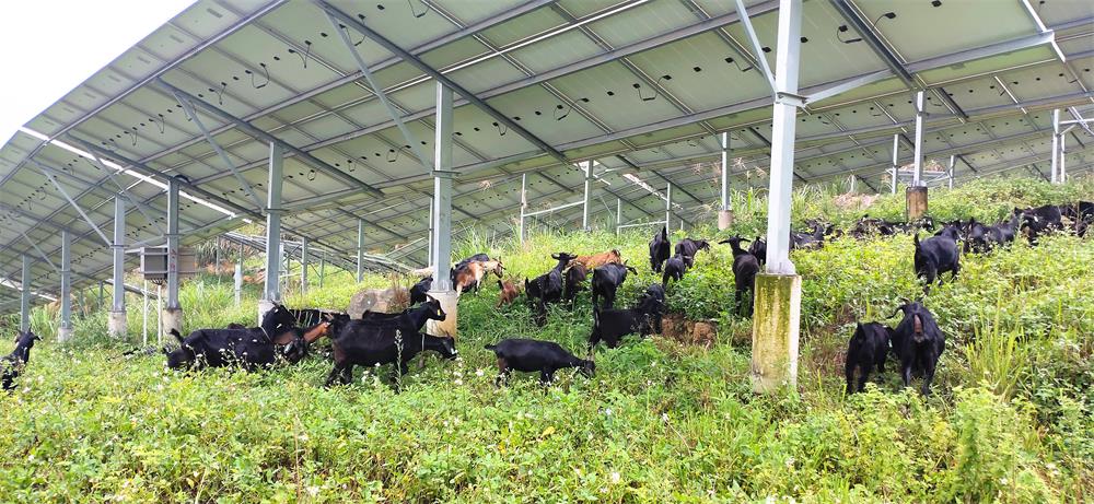 完美体育在线登录