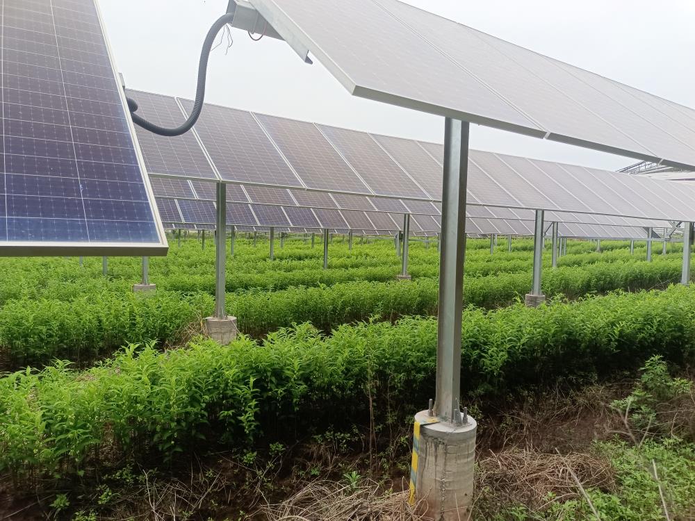 完美体育在线登录