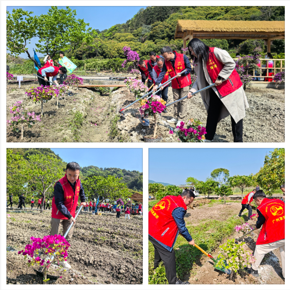 完美体育在线登录