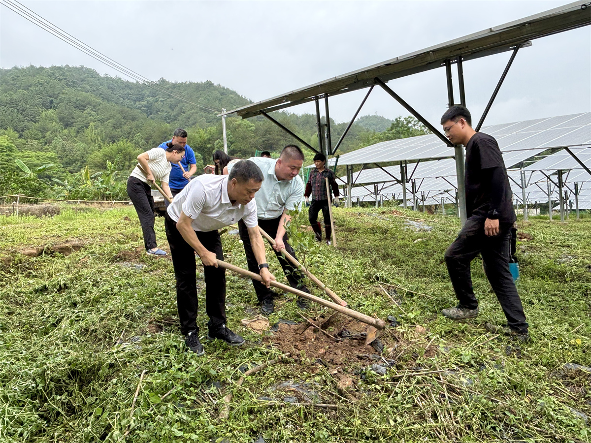 完美体育在线登录