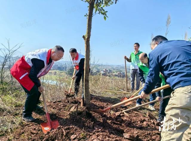 完美体育在线登录